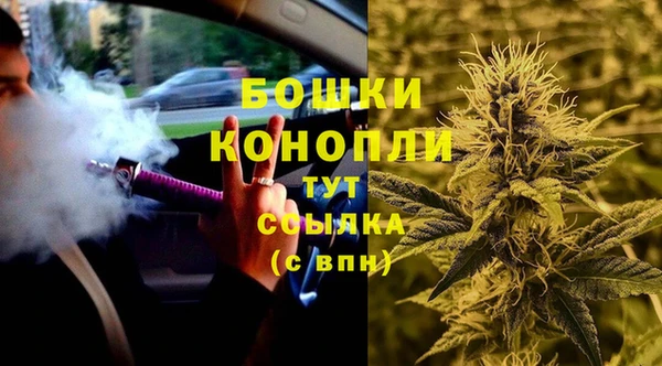 ПСИЛОЦИБИНОВЫЕ ГРИБЫ Наволоки