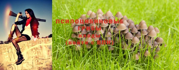 ПСИЛОЦИБИНОВЫЕ ГРИБЫ Наволоки