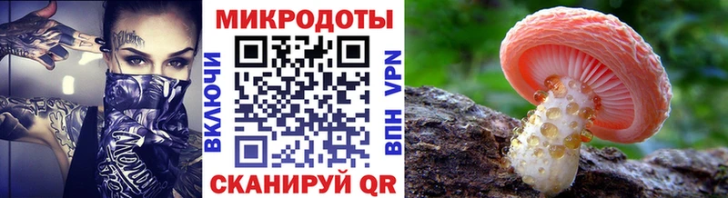 Галлюциногенные грибы ЛСД  Приволжск 